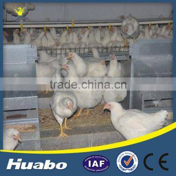 China Competitive Price Chicken Poultry Farm Automatic Egg Laying Nests