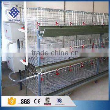 30 Years' Factory Supply Automatic Chicken Layer Cages photo-5