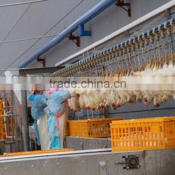 Broiler Chicken Slaughter---1000 Chickens per Hour Meat Processing Plant 008618052092685 photo-4