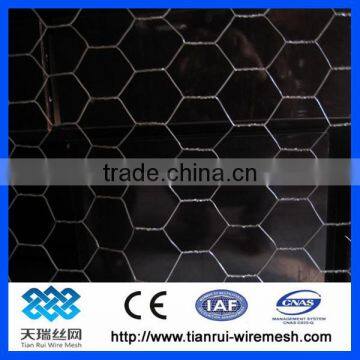 Hexagonal Wire Mesh & Hexagonal Wire Netting & Chicken Wire Mesh photo-3