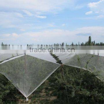 HDPE anti hail net/rose flower netting