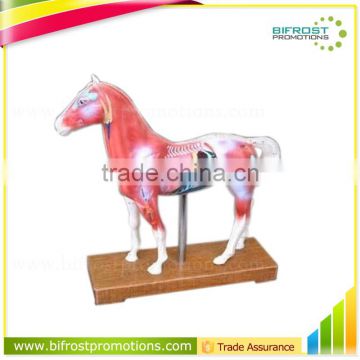 Acupuncture Animal Anatomical Horse Skeleton Model