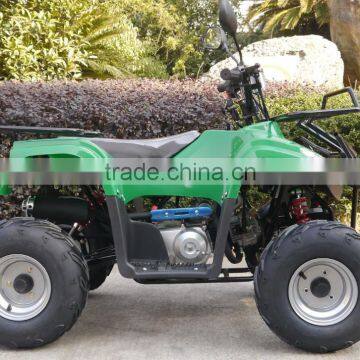 Jinling JLA-08-03 Automatic Chain Drive Air Cooled Green Cheap Price 49cc Mini Quad Bike for Sale photo-3