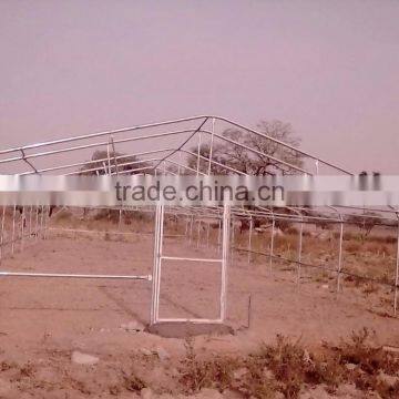 Cheap Invernadero Greenhouse photo-2