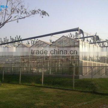Galvanized Steel Frame Commercial Glass Greenhouse For Sale photo-5