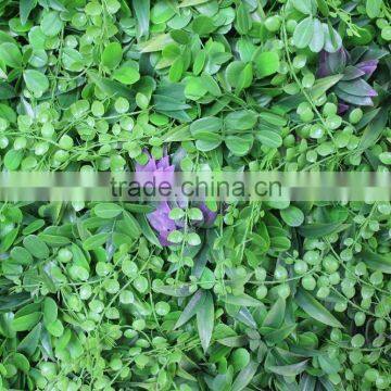 CHY040901 Decorative Garden Wall/ Hanging Wall Withplants/vertical Plant Wall photo-4