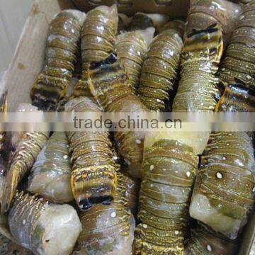 Lobster Tails photo-3