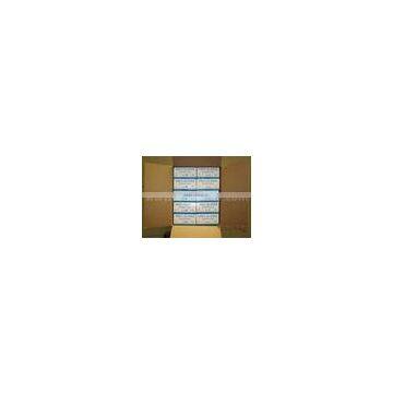 DDSAFETY 2017 Blue Disposable Gloves Vinyl