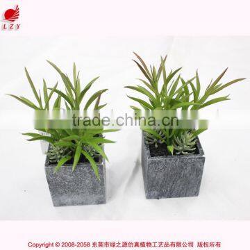 Cheap Wholesales Fake Bonsai.artificial Mini Bonsai for Home Decoration photo-3