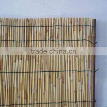 High Quality Reed Screen photo-3