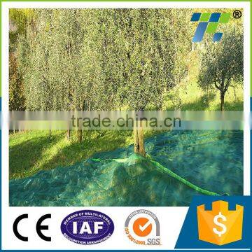HDPE Light Weight Green Color High Quality Oliver Havest Net