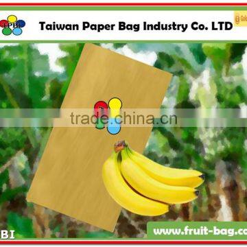 TPBI cultivator grow protective paper bag banana growing paper bag