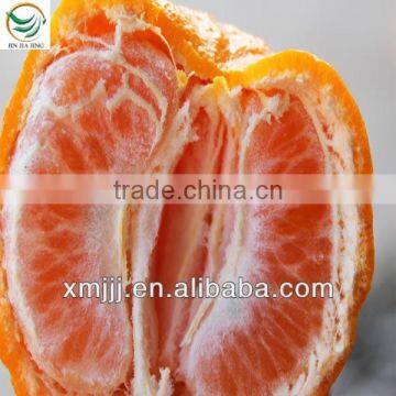 Orange Buyers photo-3