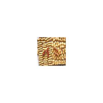 Sell Peanut in Shells 9/11