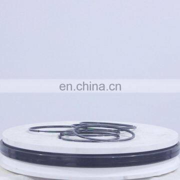 3921919 Oil Piston Ring for Cummins ISL8.9E5 360 ISL9 CM2150 Diesel Engine Spare Parts Manufacture Factory Sale Price in China