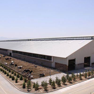 Prefabricated Light Steel Structure Cattle barn Cattle farm