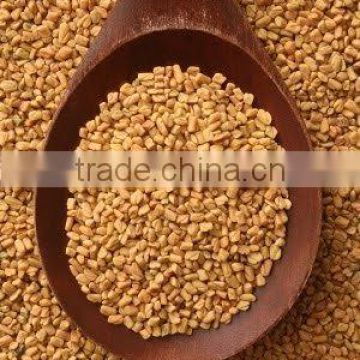 Fenugreek Seeds