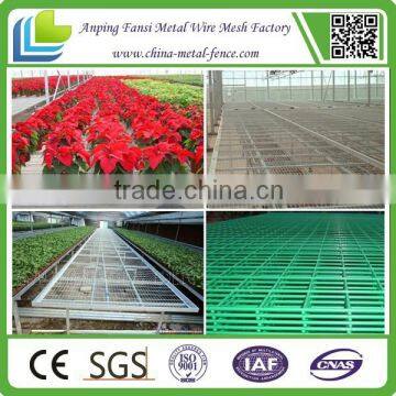 Factory Supply High Quality Hot-dipped Galvanized Welded Wire Mesh Panels and Rolls photo-6