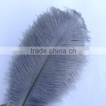 New Style Natural 10-12 Inch Ostrich Plumes for Party Decorations photo-4