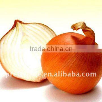 china fresh red onion in mesh bag