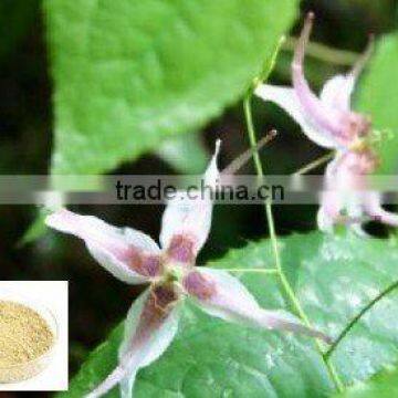 Short Horned Epimedium Extract Icariin / Herbal Medicine