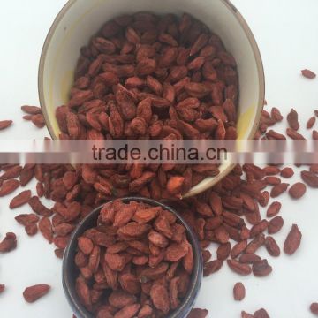 Agriculture Seed Company Goji Berries Dried