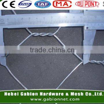 galvanized chicken wire netting /hexagonal wire netting/poultry wire mesh