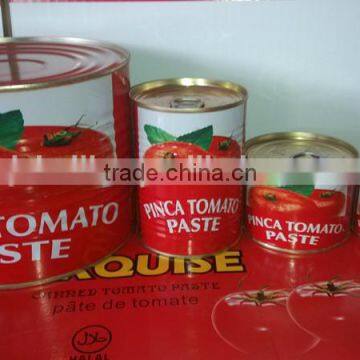 OEM Tomato Paste in Tin/Can with 70g, 210g, 400g different sizes