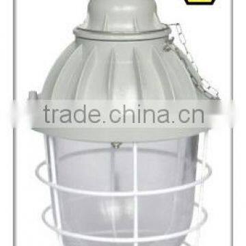 BAD51 High Quality Professional Explosion Proof Energy Saving Lamp photo-3