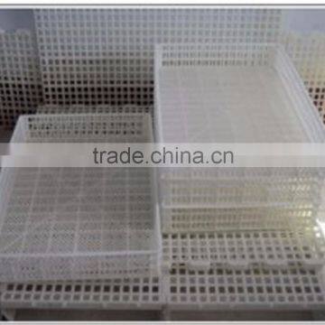 OEM / ODM Customized Hot Sale Plastic Chicken Poultry Cage in Shanghai photo-5