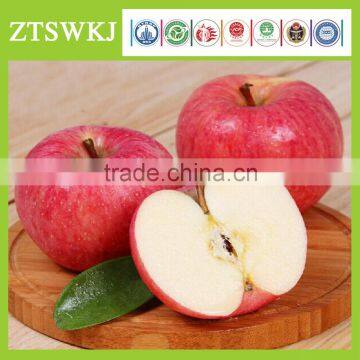 100% Organic Apple Fuji apple Fresh Apples