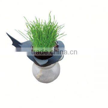 Specialized Where to Get Party Decorations Places Buy Birthday Supplies Online