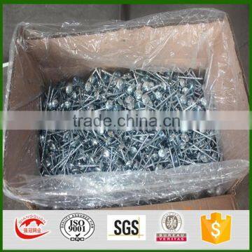 Manufacturer supply best price umbrella roofing nails