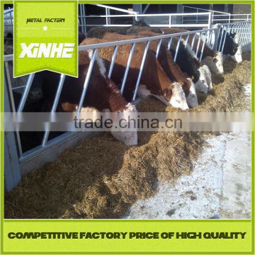 Short-time producer cow diagonal feed barriers for sale