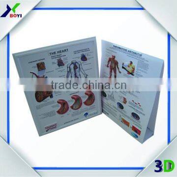 Custom 3D Anatomical Wall Chart Manufacturer photo-5