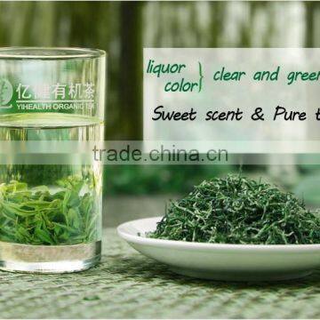 Hot sale china organic certified green tea