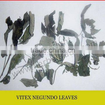 VITEX NEGUDO LEAVES