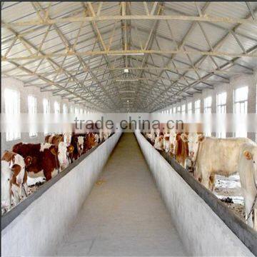 steel structure cow farms for Africa