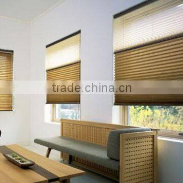 double roman zebra blinds