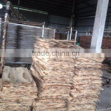 Core Veneer Industrial Drying photo-5