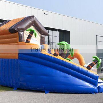 Boys and Girls Water Inflatable Pool Slide, Low Price Inflatable Waterslide on Sale
