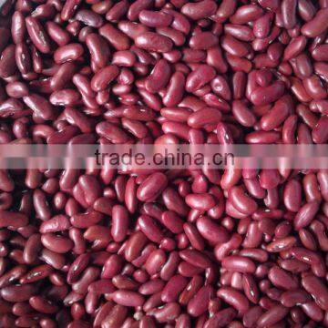 2015 Dark Red Kidney Bean Shanxi Orgin photo-2