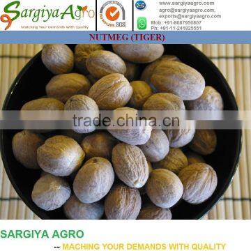 Nutmeg Whole l High Quality