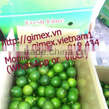 Fresh Vietnamese lime high quality