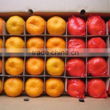 2015 New Crop of Fresh Mandarin orange Price with Good Quality