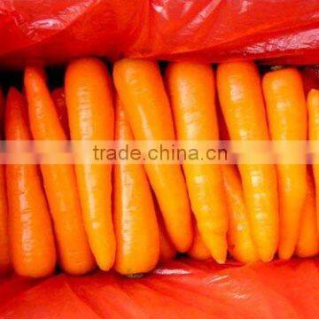 Chinese Fresh Carrot/fresh Market Carrots