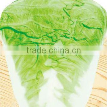 Big ball cabbage Seeds green vegetable seeds for planting-Shen Shi 120