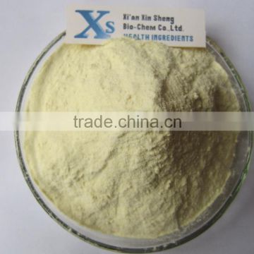 High Quality GMP&KOF-Kosher Ginseng root Extract Ginsenoside