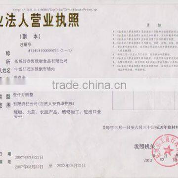 Business License for Legal Person