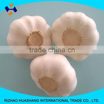 good quality pure white fresh garlic size6.0cm